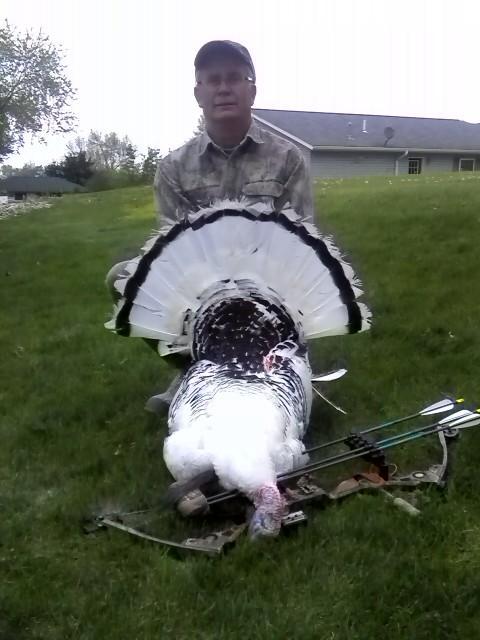 My father, Dean Mueller, took this turkey with his bow this weekend in Fayette County, Iowa.