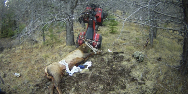 Hunter Impaled by Elk Rack in ATV Accident