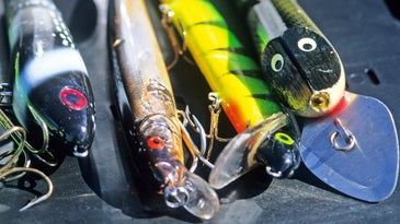 Study Finds Bait, Tackle Stores Generate $2.3 Billion for Economy