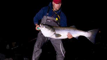The 10 Reasons You’re Not Catching Big Striped Bass in the Surf