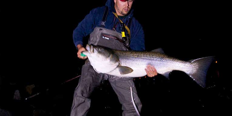 The 10 Reasons You’re Not Catching Big Striped Bass in the Surf