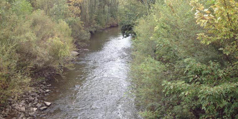 Three Michigan Rivers Among Most Polluted Great Lakes Tributaries