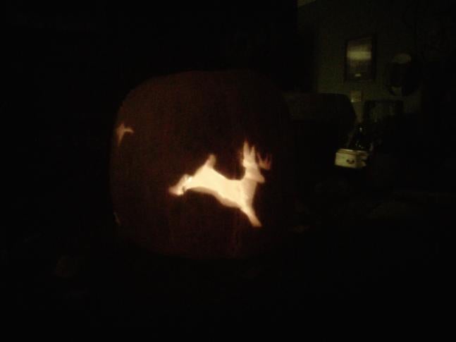 I have submitted 3 pictures and all 3 are on one pumpkin, anyways this is what most hunters see during deer hunting