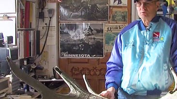 Five-Hundred-Year-Old Elk Antler Found in Minnesota Lake