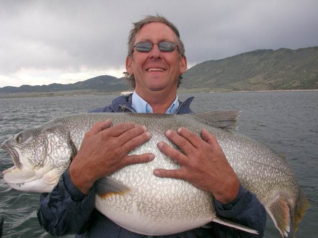 june of 2008 went with guide capt. jim on flaming gorge and caught this lake trout. a monster of 50# plus. made my day twice