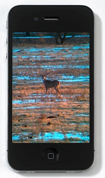 A neat wildlife-viewing trick if you have a smartphone is to employ your binoculars as a magnifier. Using the camera function on my iPhone, I line up the lens with one of the lenses of my binoculars and use the phone's screen as a viewfinder. I spotted this buck, which was easily 125-plus yards away, and was able to snap several scouting photos and even some video. <em>--H.C. Hines, Dallas, Texas</em>