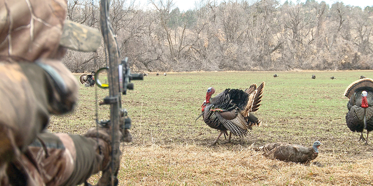 Why Aren’t You Bowhunting for Gobblers Yet?
