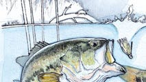 How to Choose the Best Lure to Catch Bass in Any Pond
