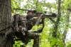 bowhunter aiming crossbow in a treestand