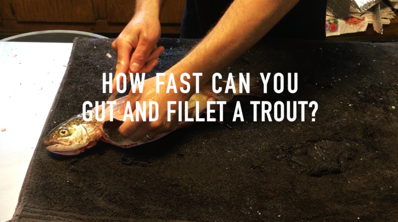 fillet trout, fishing, trout fishing, how to fillet a trout,