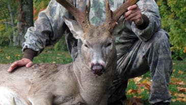 24-Point, 196-Inch Buck Tagged on Ohio’s Opening Day