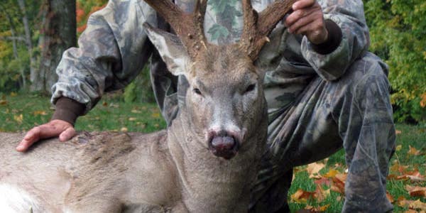 24-Point, 196-Inch Buck Tagged on Ohio’s Opening Day