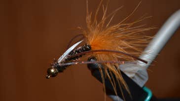If You Could Fish With Only One Fly, Which Would You Pick?