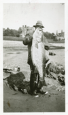 Black and white image of a fisherman holding up a striped bass.