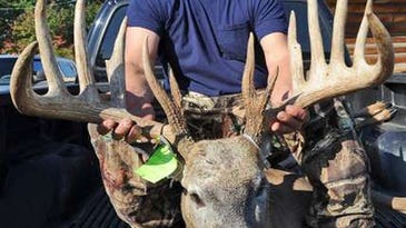Wisconsin Hunter Switches From Gun to Bow to Chase His Buck of a Lifetime
