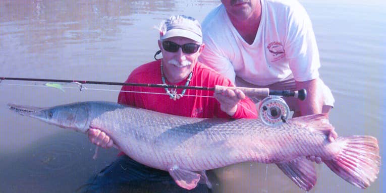The Latest Pending Records from the IGFA