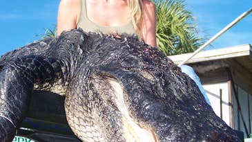 Young Mother Bags 11-Foot Alligator With a Crossbow in Florida’s St. Johns River