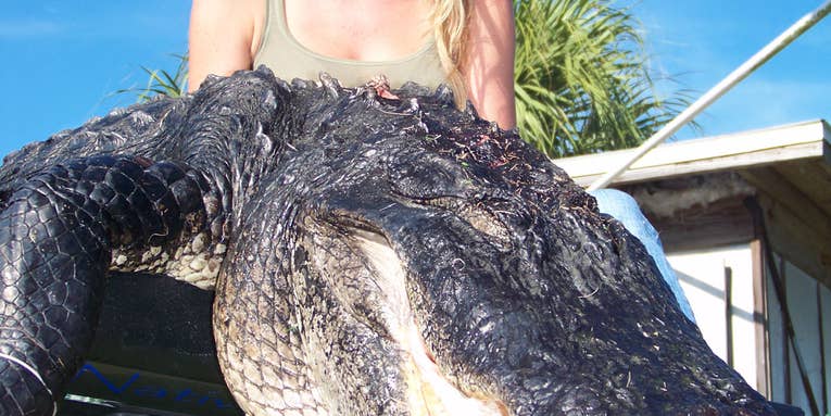 Young Mother Bags 11-Foot Alligator With a Crossbow in Florida’s St. Johns River