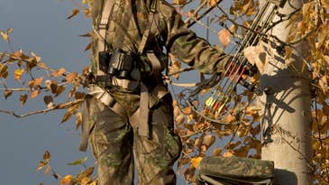 Last-Minute Game Plan for Trophy Bow Bucks