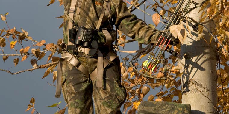 Last-Minute Game Plan for Trophy Bow Bucks