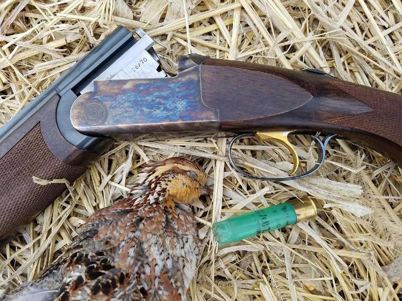 quail hunting with 28 gauge and franchi shotgun