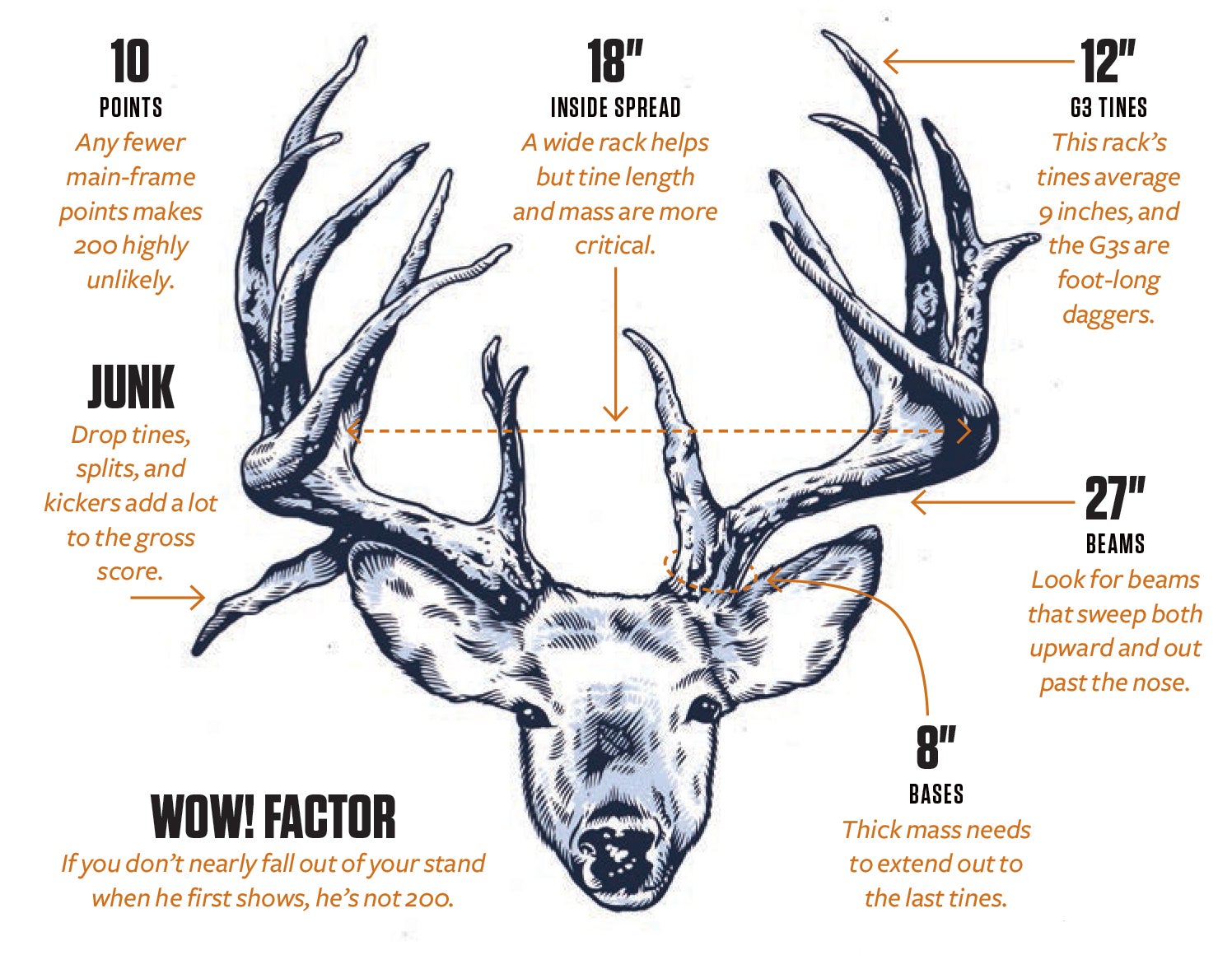 Four Tips for Killing a 200-Inch Monster Deer | Field & Stream