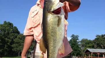 5 Tips For Catching The Biggest Bass In Any Summer School