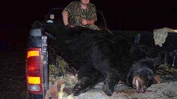 Maine State Record Black Bear: U.S. Veteran Tags 699-Pound Bruin on His First Hunt