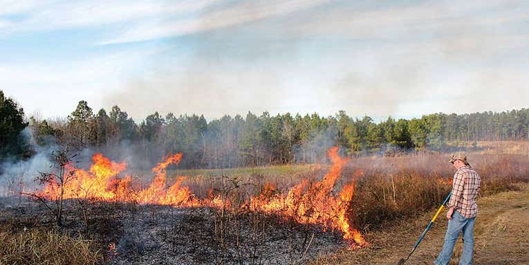 Why Controlled Burns Can Improve Your Turkey Hunting