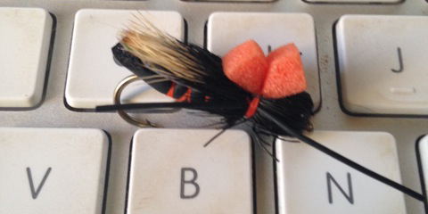 The Pros and Cons of Buying Flies Online
