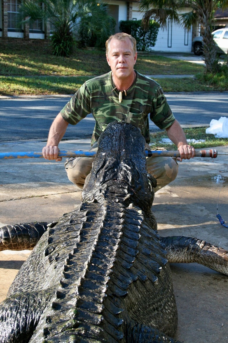 After wrapping up a night of Halloween trick-or-treating with his kids, Orlando gator hunter Tres Annerman closed the 2010 season with a bang, landing a state-record 14-foot, 3 ½ inch gator on Florida's Lake Washington.