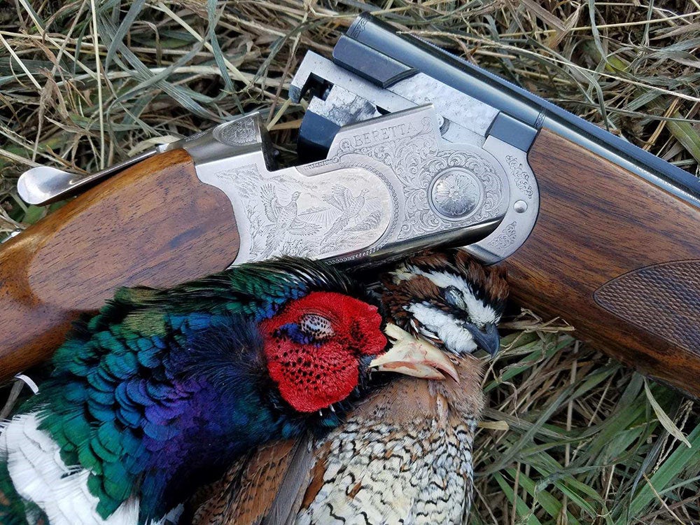 What hunters should know about the 2022 pheasant and quail hunts
