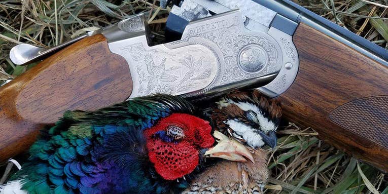 What To Look for in the Perfect Pheasant-Hunting Shotgun