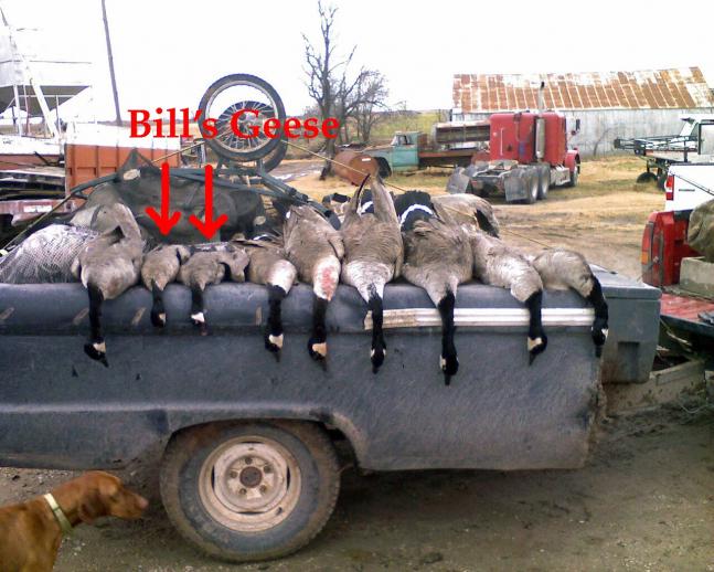 After taking some friends goose hunting I get this photo in my email. It was a great hunt but I got a lot of grief for shooting the only 2 lessers all morning. Would do it again...