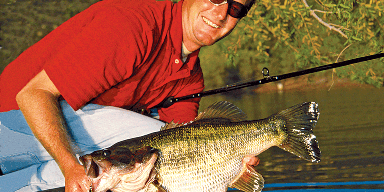 Bass Fishing Tips and Tactics for the Spring