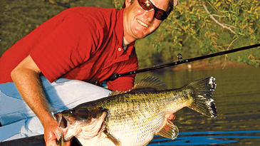 Bass Fishing Tips and Tactics for the Spring