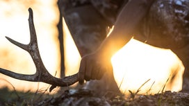 Shed Hunting 101: Expert Tips for Finding More Antlers This Spring
