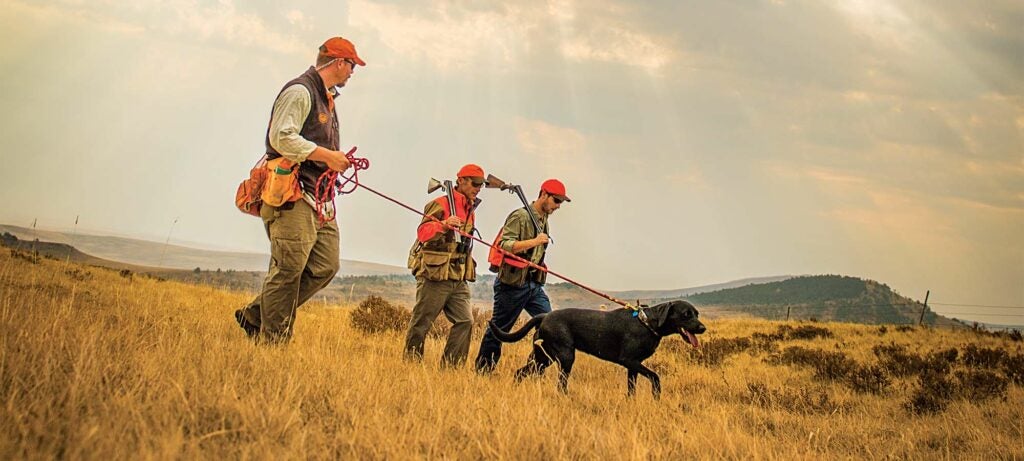 prairie grouse hunters and dog