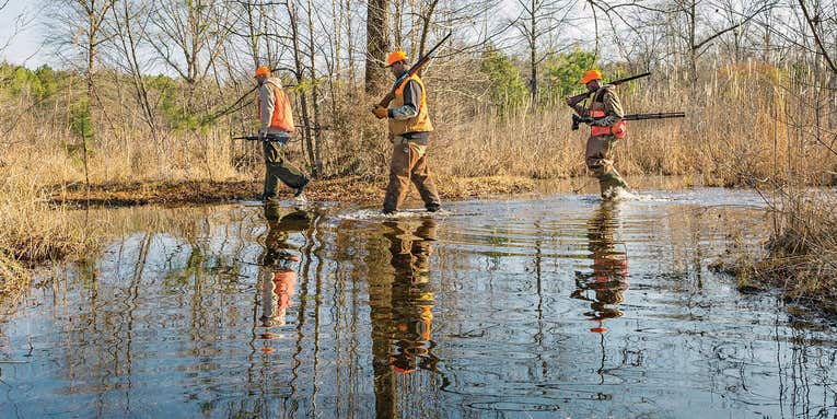 The Swamp Runners: Rabbit Hunting in Alabama Swamps