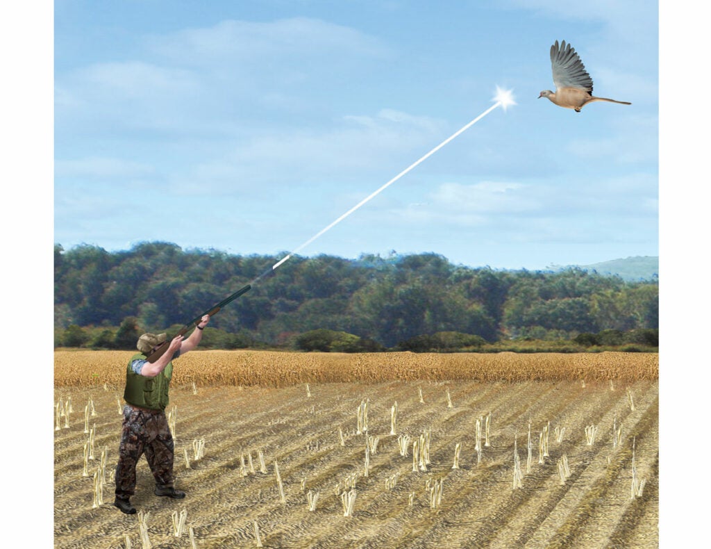 Dove hunting