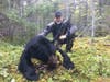 355-pound Newfoundland black bear