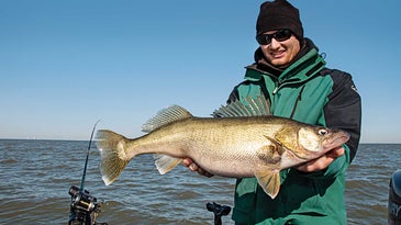 Four Tricks for Catching Spring Walleyes