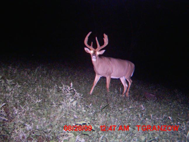 My husband was shocked to see this big guy on camera. He never saw it in person or got another pic of him.