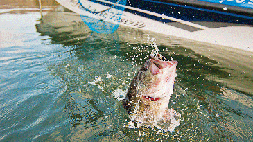 How To Keep Jumping Largemouth Bass on the Line