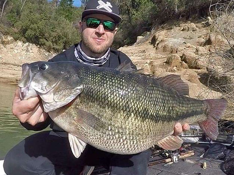 record spotted bass