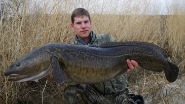 New All-Tackle World Record Burbot Caught in Lake Diefenbaker, Saskatchewan