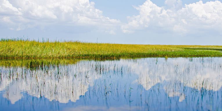 A Catastrophe in the Everglades, and How to Fix It