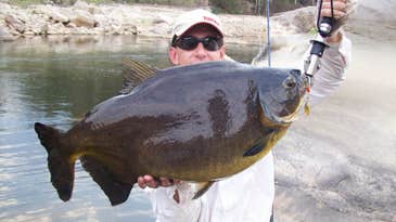 New World-Record Fish from the IGFA