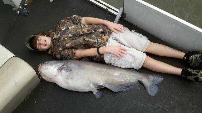 60 pound blue cat, caught on cut mudshad. Virginia citation fish.