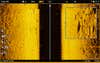blurry snook image sonar scan